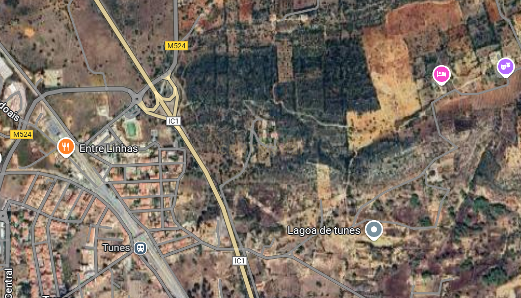 Terreno Agrícola em Gateiras - Localização Privilegiada - Image 5